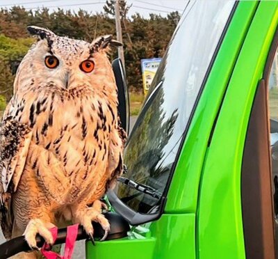 投稿写真のワンシーン