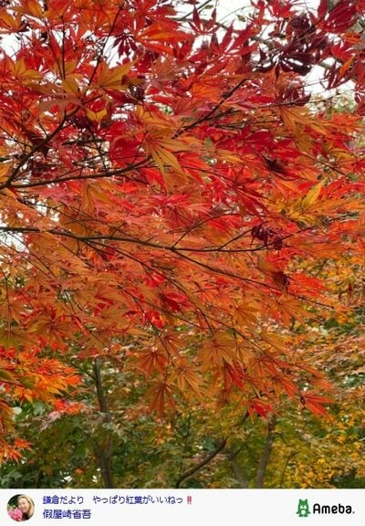 假屋崎省吾の公式ブログ投稿