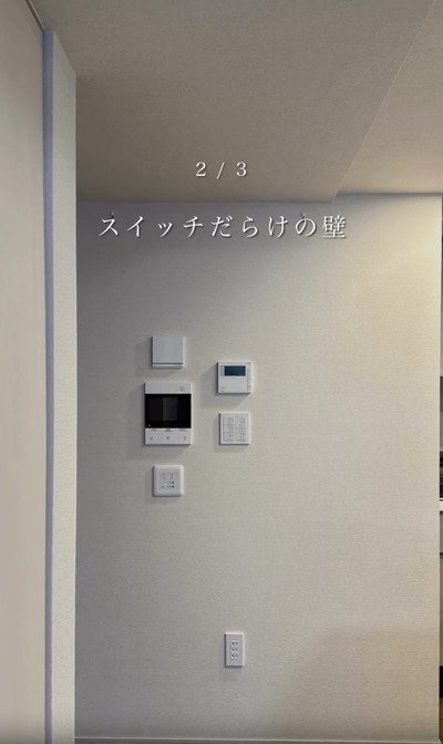 【壁DIY】スイッチだらけの壁をおしゃれな「のれん」で隠す！生活感をなくす新発想がすごい
