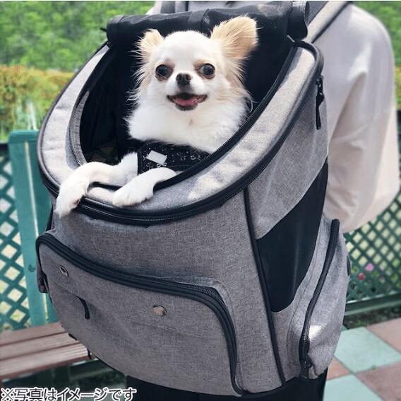 ファスナーを開ければ、リュックから顔を出すことができ、快適です！