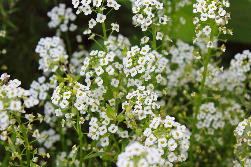 Far700/istockphoto.com