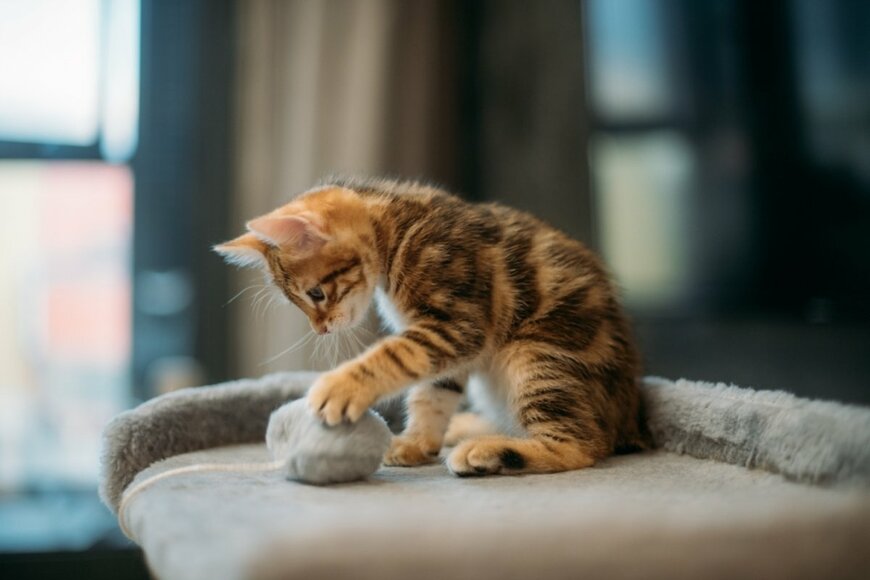 Grusho Anna/shutterstock.com