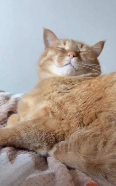 出所：@kagisuzu0531