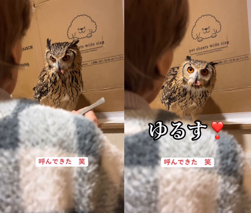 出所：@ba_chantolatte