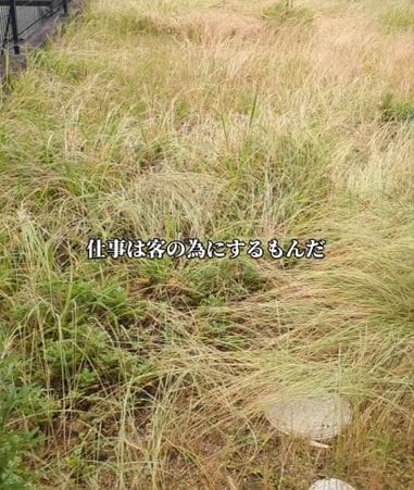 「暑い中お疲れ様です」〈雑草〉が生い茂るスペース→土の美しさが際立つ〈スッキリ空間〉に！