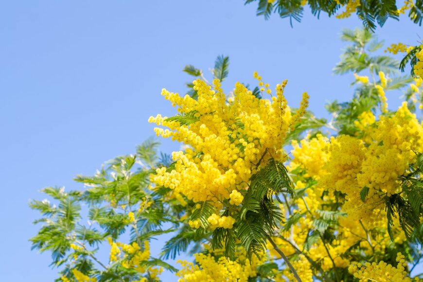 Nastasya_Sav/Shutterstock.com