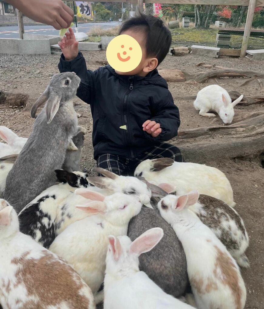 出所：＠baby_dream0606