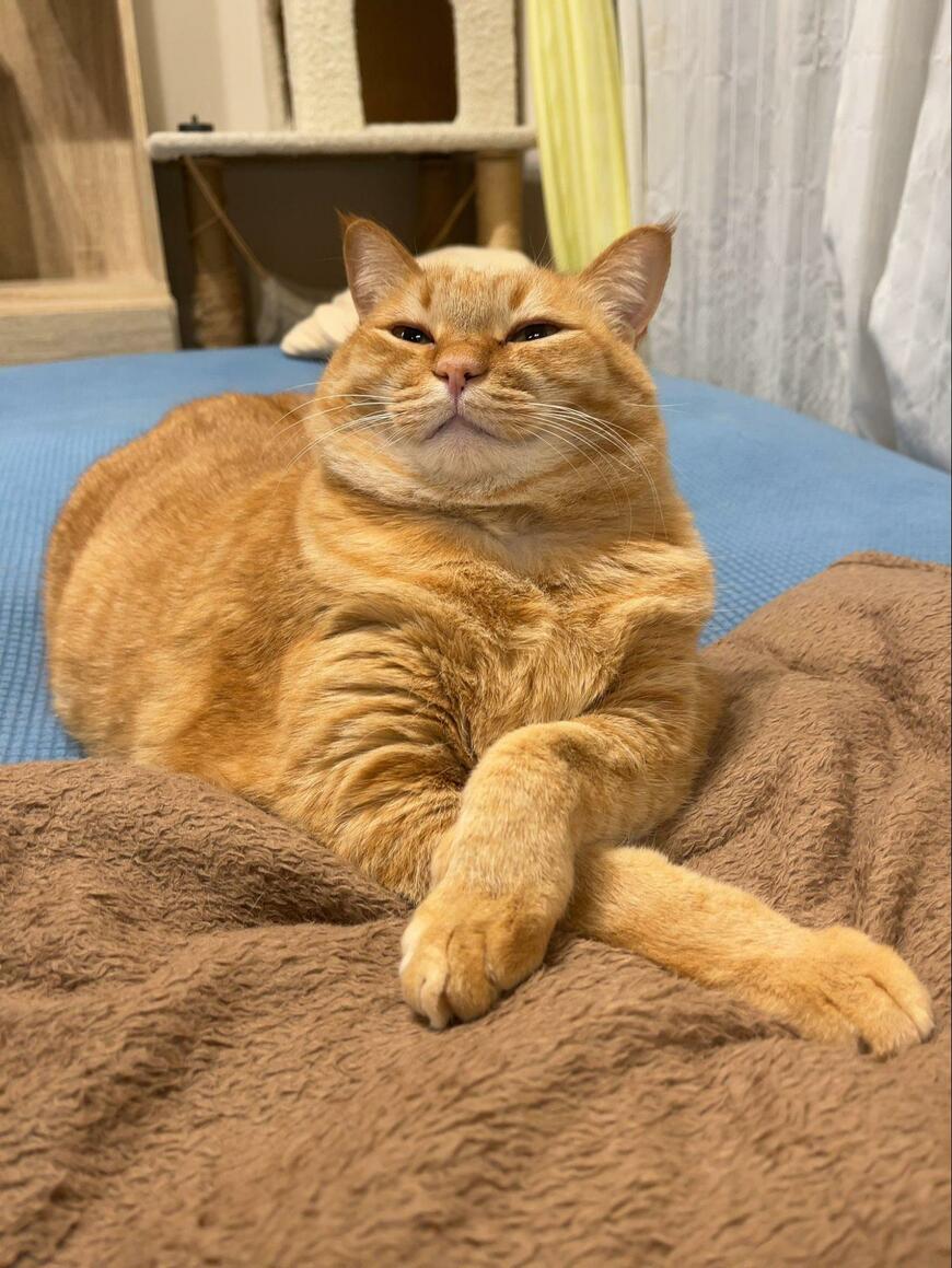 出所：@kagisuzu0531