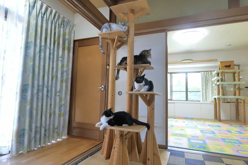 出所：@PastelCatWorld