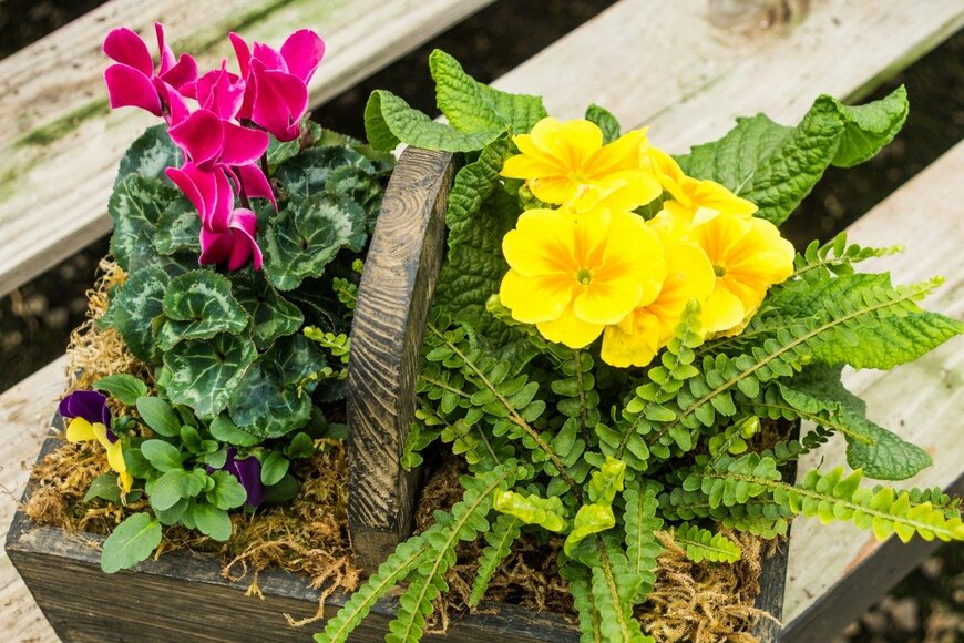 jatrax/istockphoto.com