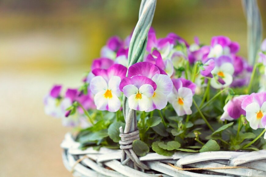 Fortgens Photography/istockphoto.com