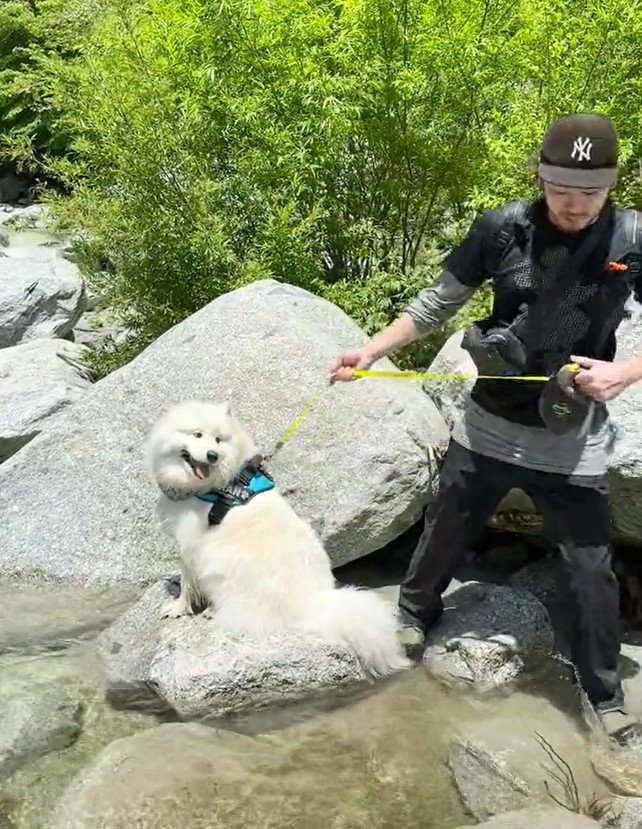 出所：@samoedsoran