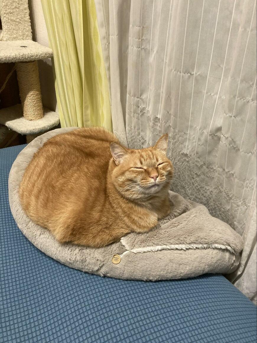 出所：@kagisuzu053