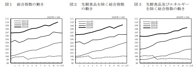 出所：総務省「2020年基準 消費者物価指数 全国 2024年(令和6年)11月分」