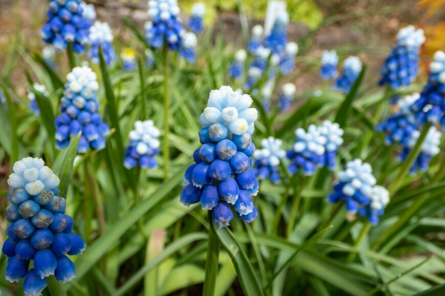 Kristine Rad/Shutterstock.com