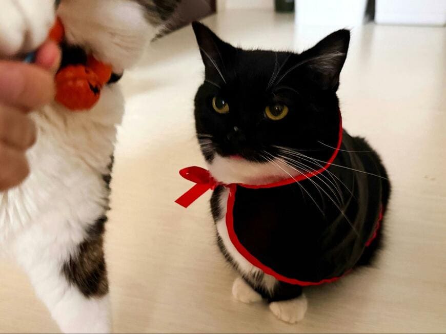 出所：@unicouniuni3