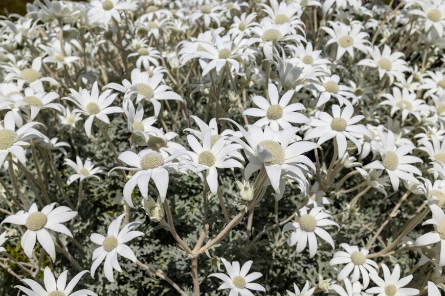 Ken Griffiths/Shutterstock.com