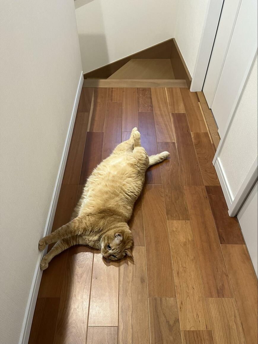 出所：@kagisuzu0531