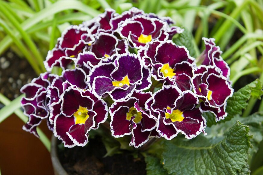 Real Moment/shutterstock.com