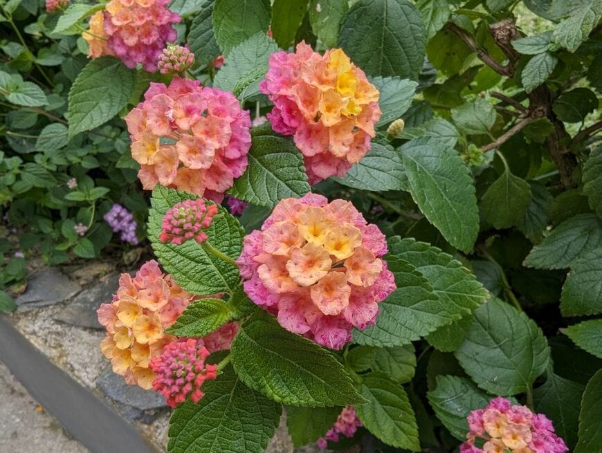 DSharma90/shutterstock.com