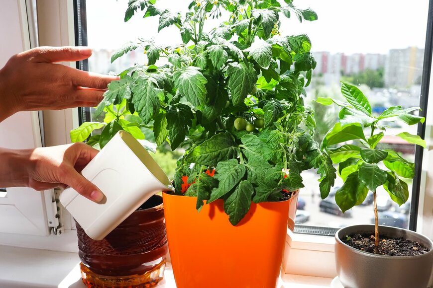 OMfotovideocontent/istockphoto.com