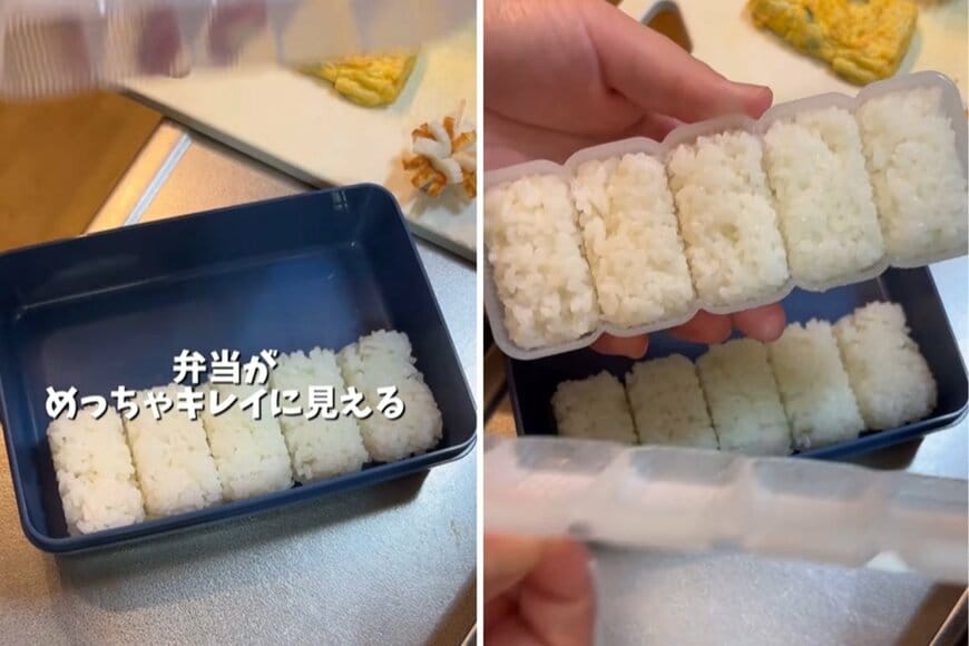 投稿動画のワンシーン