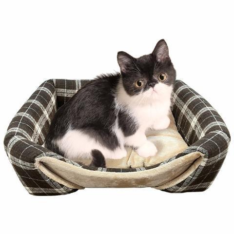 しまむら、ペット用ベッド画像