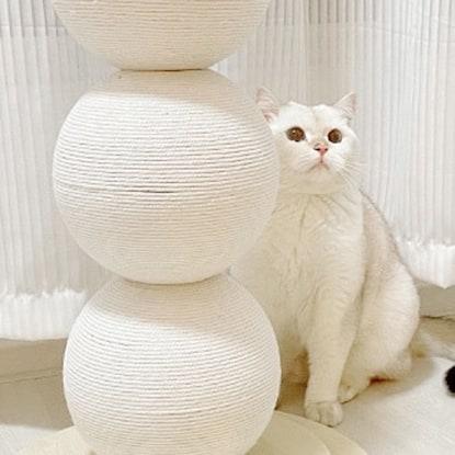 ニトリ、ネコちゃんのネイルケア!お団子爪とぎタイプ!画像