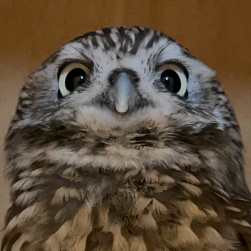 投稿動画のワンシーン