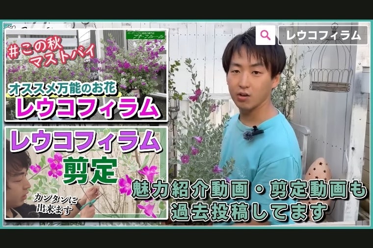 @petit_fleurさんオススメ低木4選画像