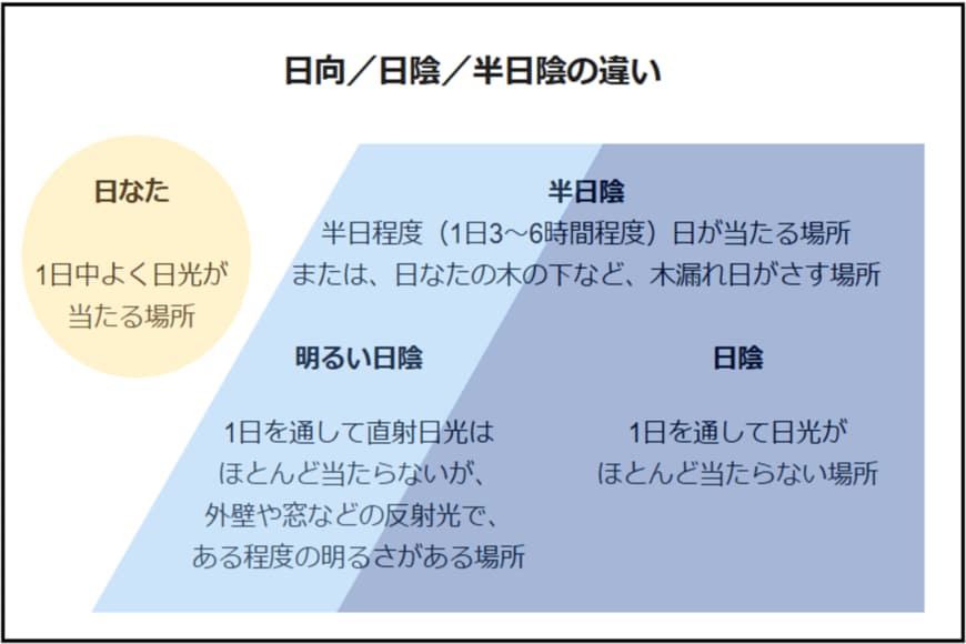 日なた、日陰、半日陰、明るい日陰の違いとは?