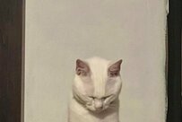 「わぁ…これは…」白猫さんの写真にSNSユーザーが注目