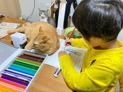 どこに行っても「猫に応援」される6歳児さん　ほほえましい1日が話題に