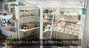MIYU様 多肉植物棚　GAI-MS80A 多肉植物棚DIY】カスタマイズ自由自在！IKEAの棚も活用し素敵な
