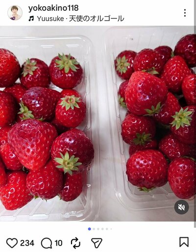 秋野暢子のInstagram投稿