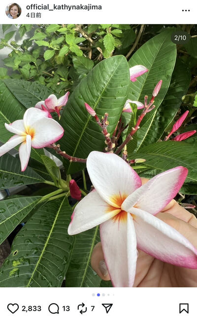 キャシー中島のInstagram投稿