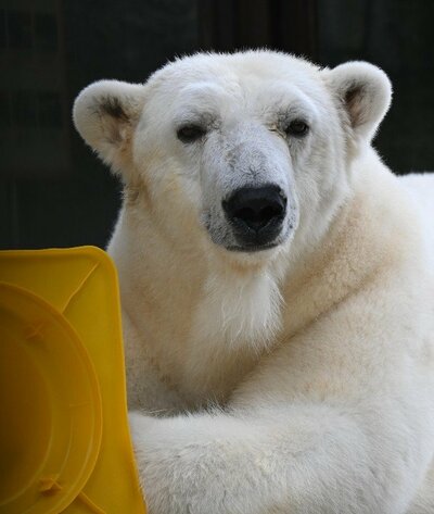 愛媛県立とべ動物園