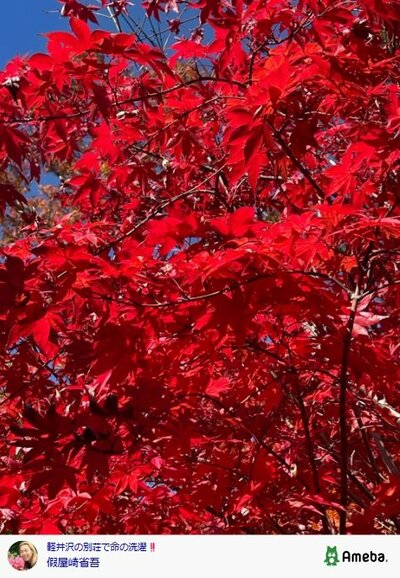 假屋崎省吾のInstagram投稿