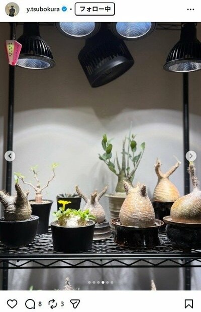 坪倉由幸のInstagram投稿