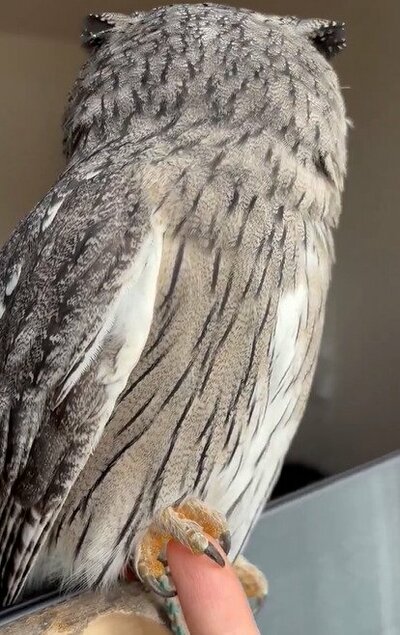 投稿動画のワンシーン