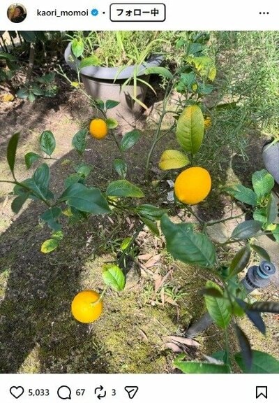 桃井かおりのInstagram投稿