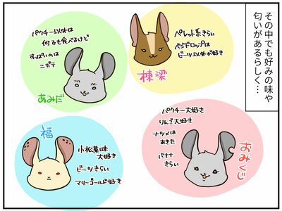 チンチライフ182話