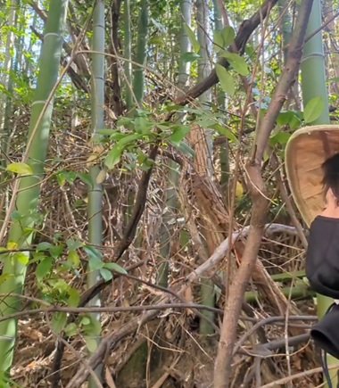 うっそうとした竹林が…「竹と雑木を伐採」して明るく広々とした空間に変身「明るくなりましたねえ」