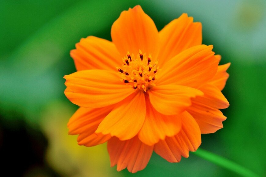 yuancao/istockphoto.com