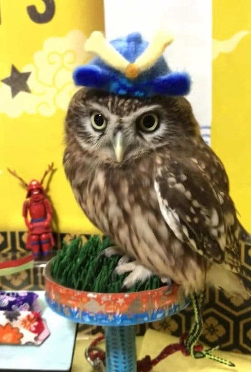 出所：@cr8673.hiro