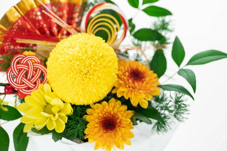 shironagasukujira/istockphoto.com