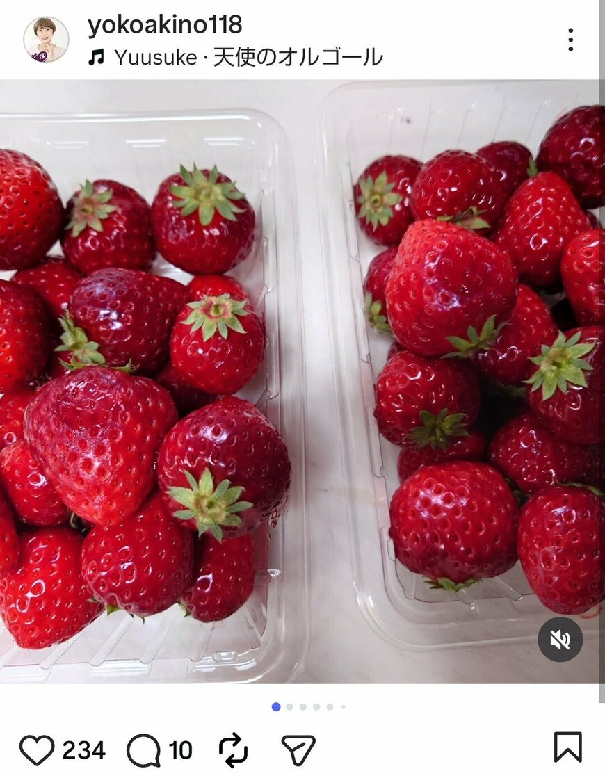 出所：秋野暢子のInstagram（＠yokoakino118）参照日：2026年3月15日