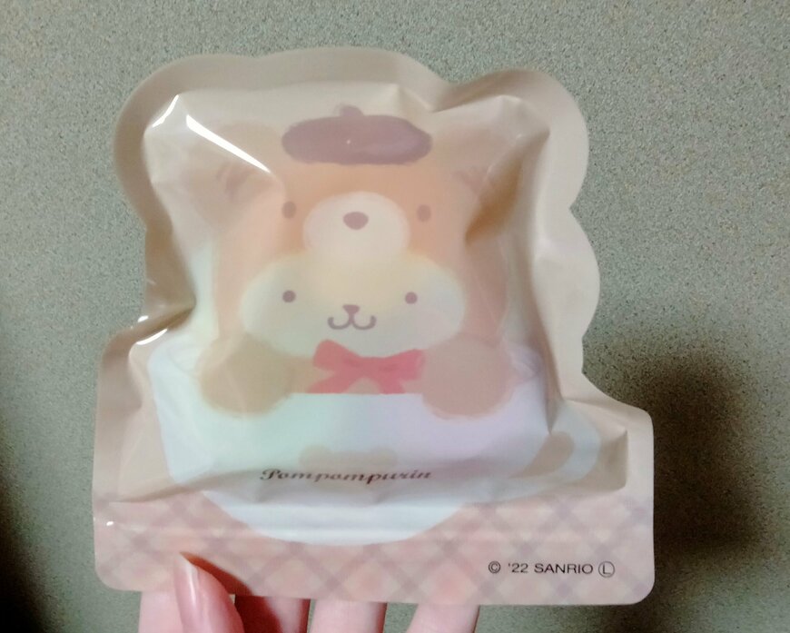 筆者撮影（ダイソー、ダイカットフィルムチャック袋 5P）