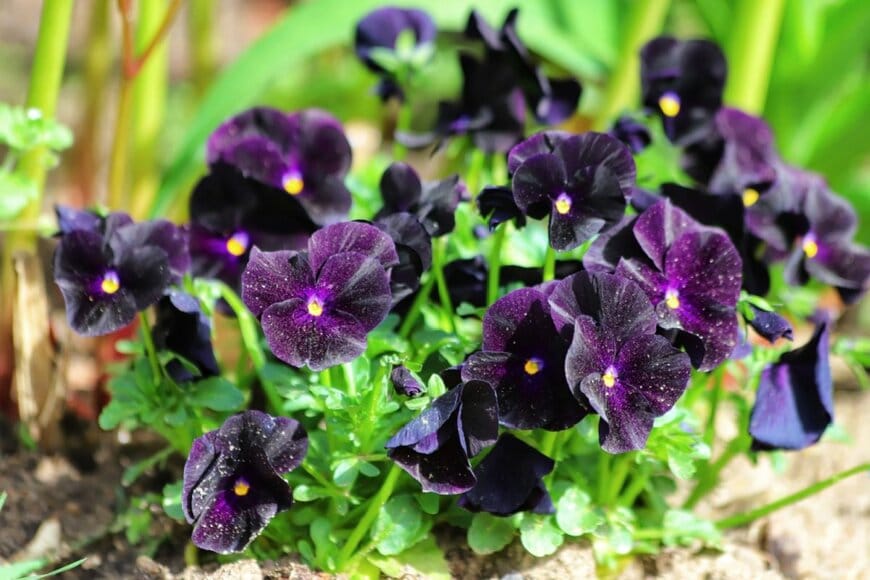 Kabar/shutterstock.com