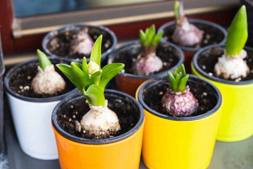 Rudenko Allasi/shutterstock.com